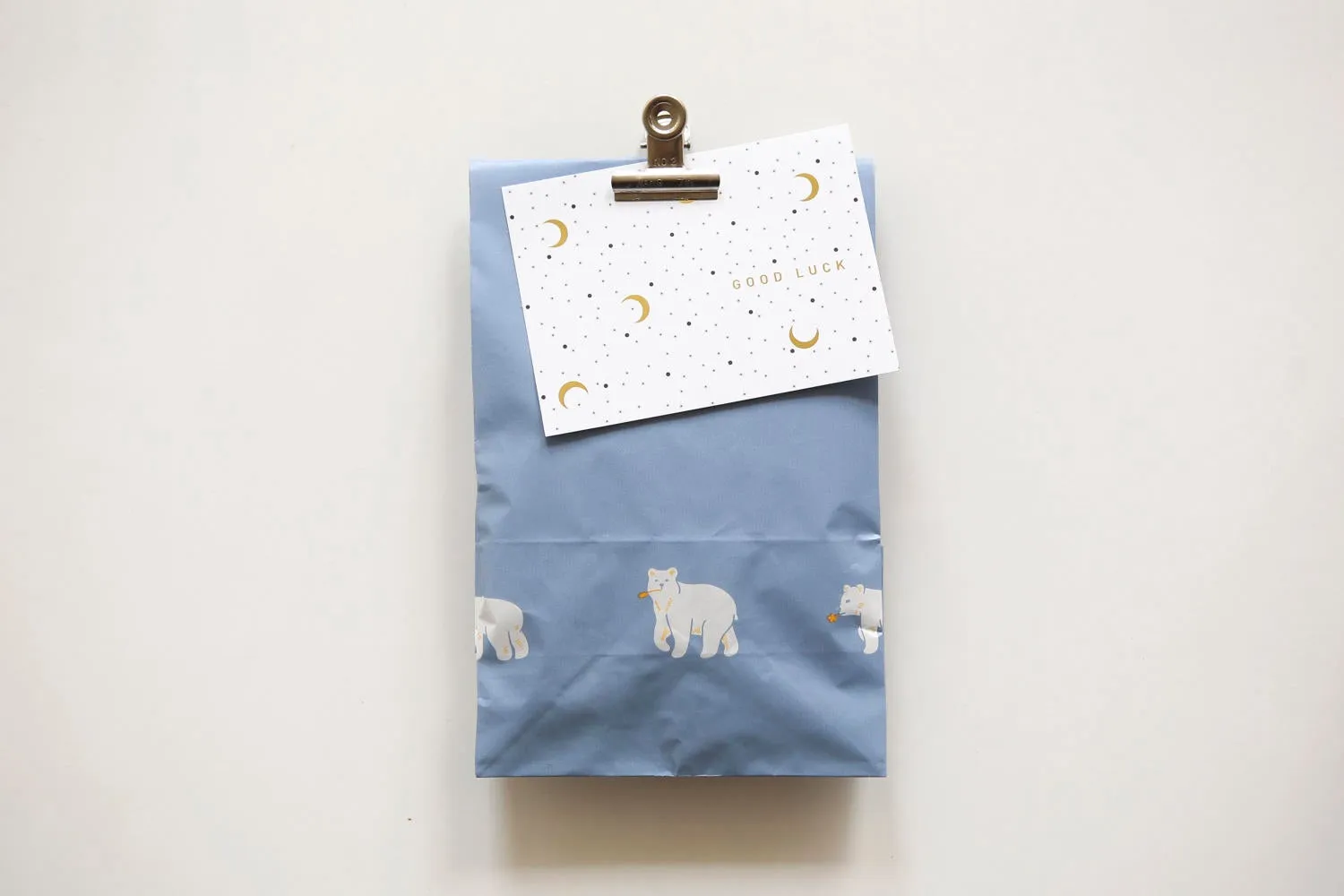 10 Patterned Friendly Bear Paper Bags - Great for goodies, gifts, envelopes, party favors, for your scrapbooking projects, wrapping paper