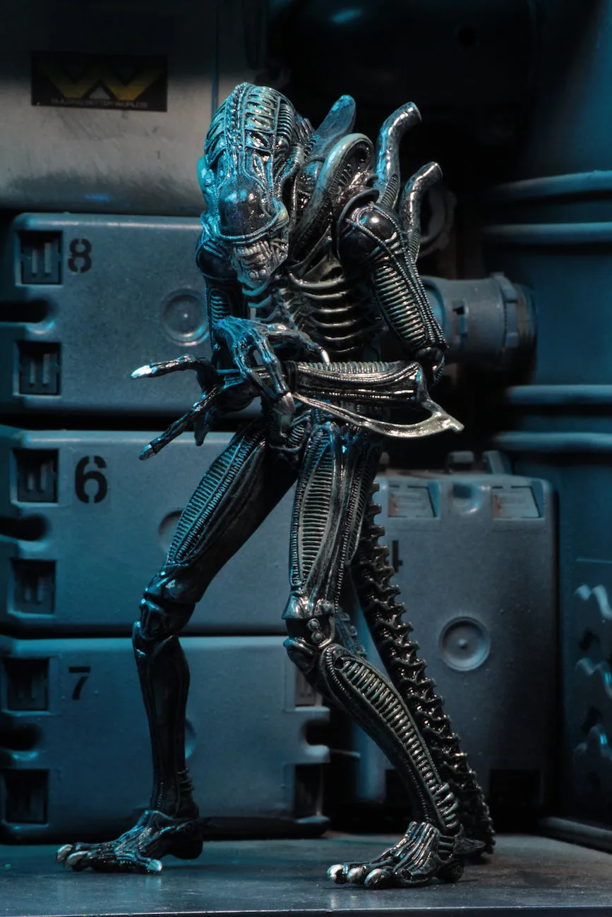 Aliens Ultimate Alien Warrior (1986) Blue Alien 7″ Scale Action Figures - NECA