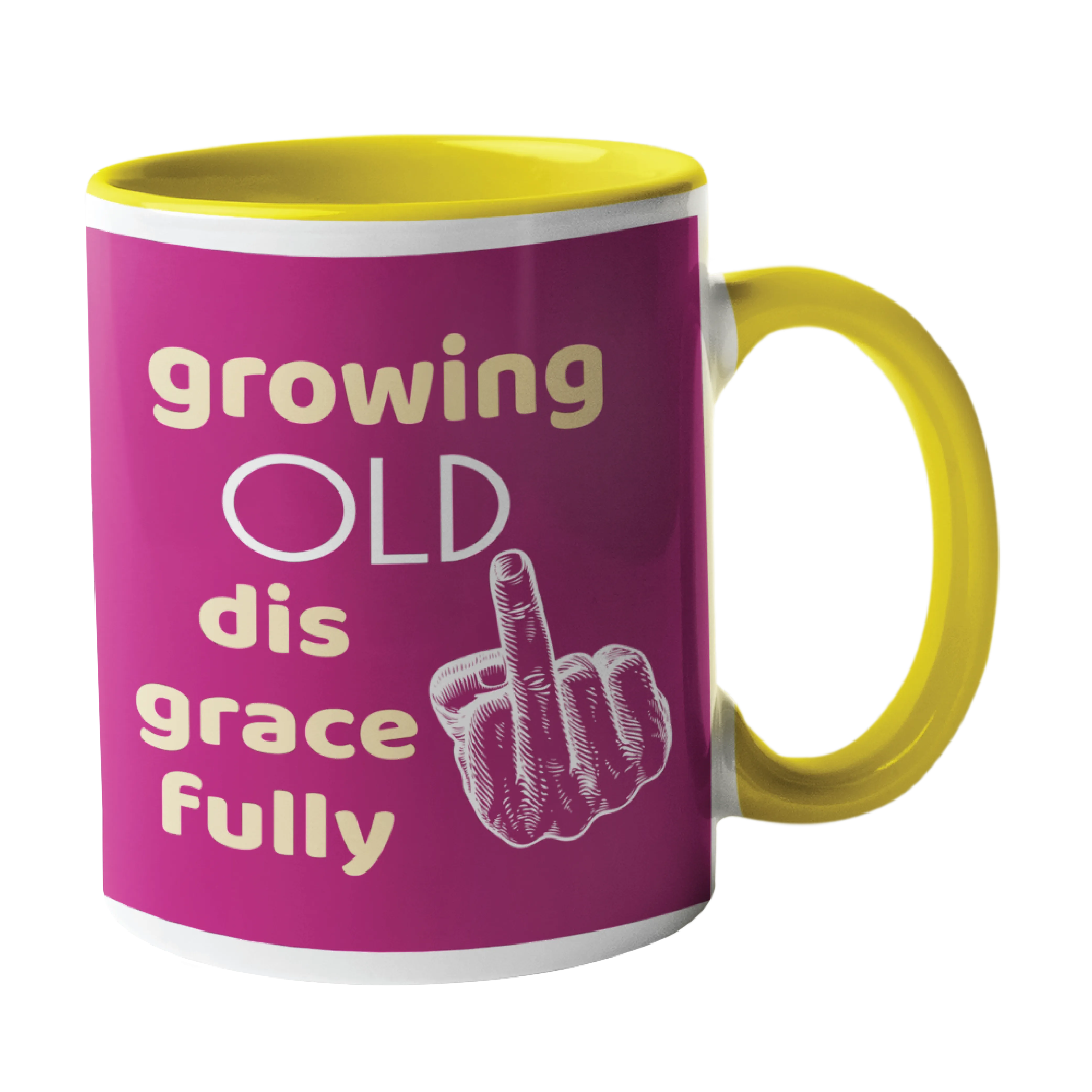 Growing Old Disgracefully Humour Mug