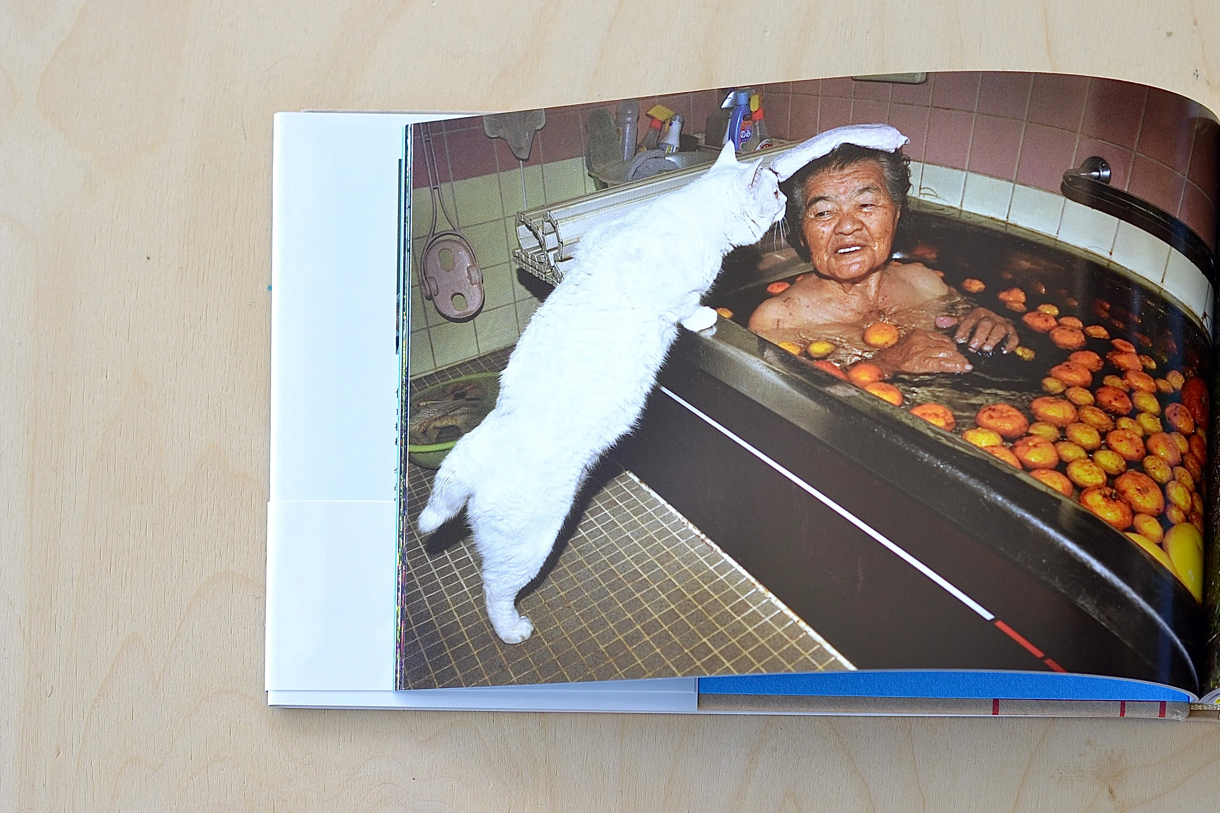 Misao The Big Mama And Fukumaru The Cat by Miyoko Ihara