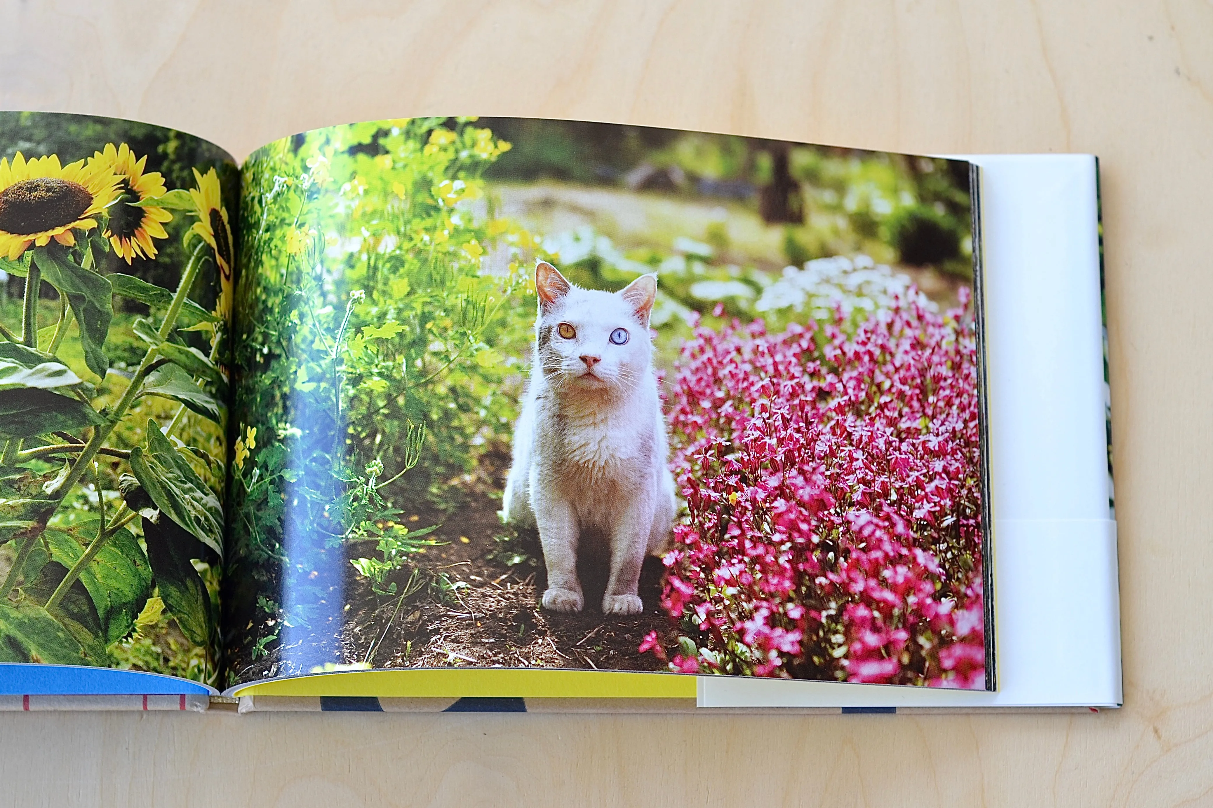 Misao The Big Mama And Fukumaru The Cat by Miyoko Ihara