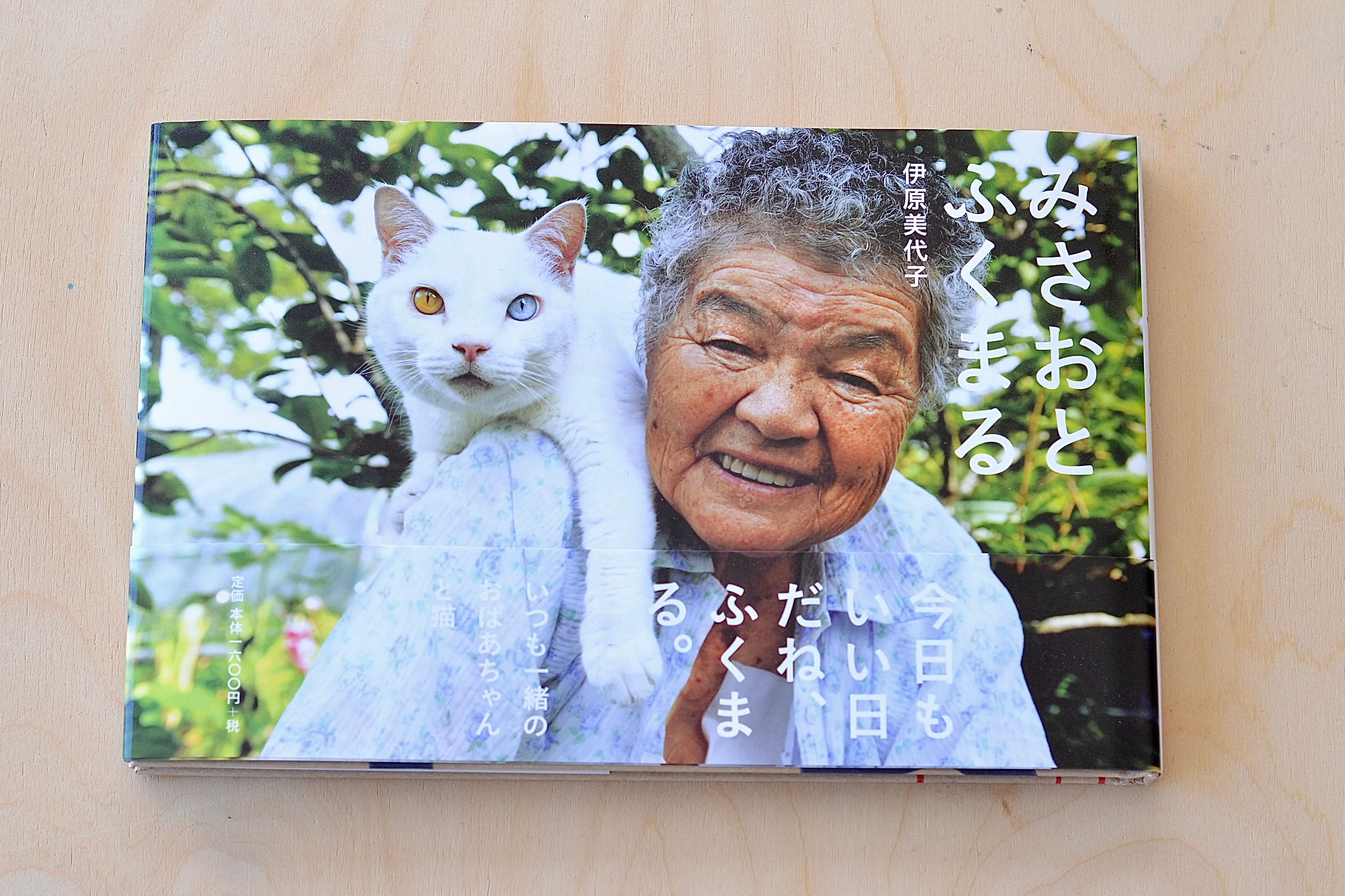 Misao The Big Mama And Fukumaru The Cat by Miyoko Ihara