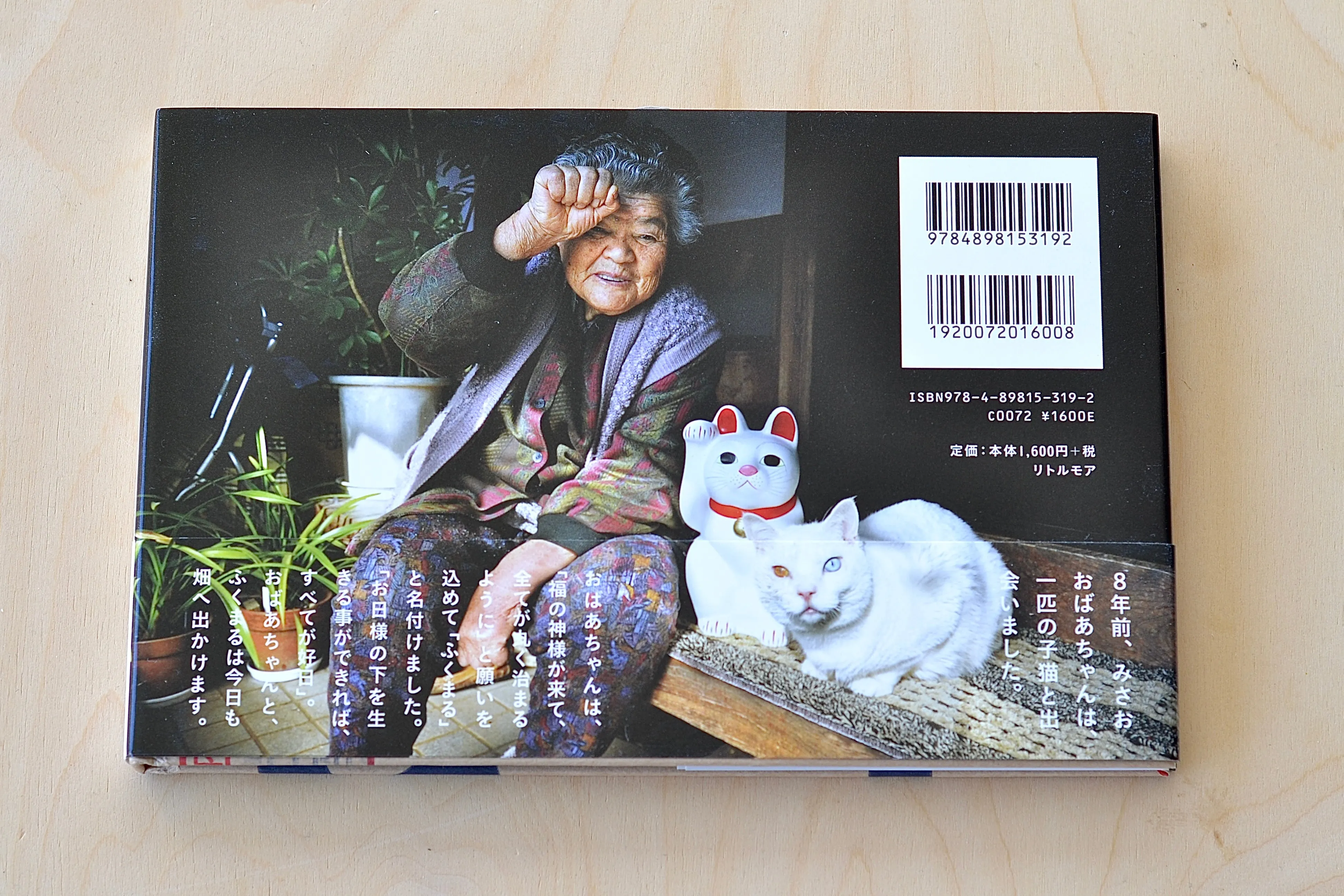 Misao The Big Mama And Fukumaru The Cat by Miyoko Ihara