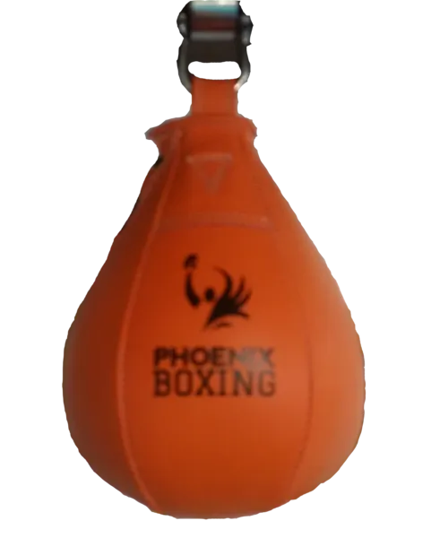 PB ACADEMY 9" SPEED BAGS