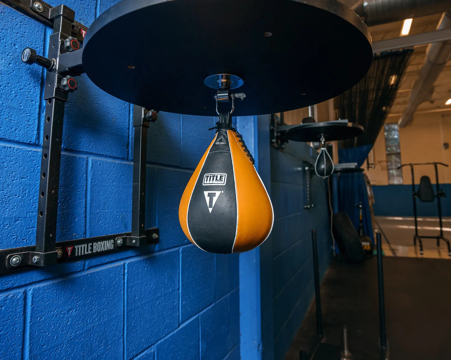 TITLE Boxing Super Speed Bags