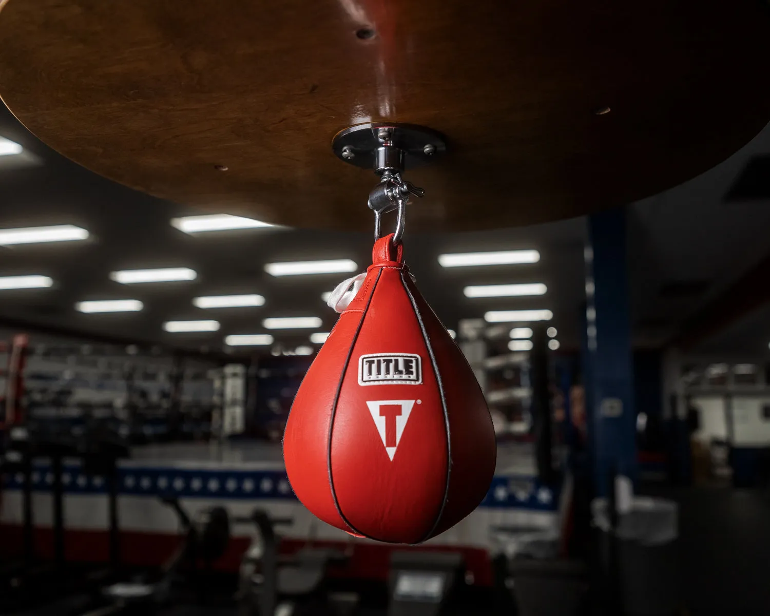 TITLE Boxing Super Speed Bags