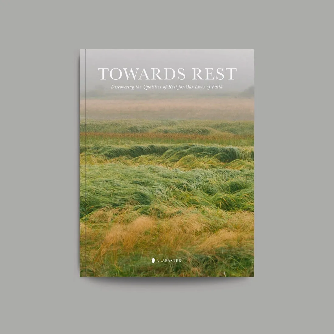 Towards Rest | Book