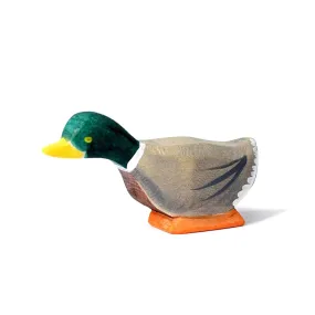 Wooden Mallard Duck - Curious