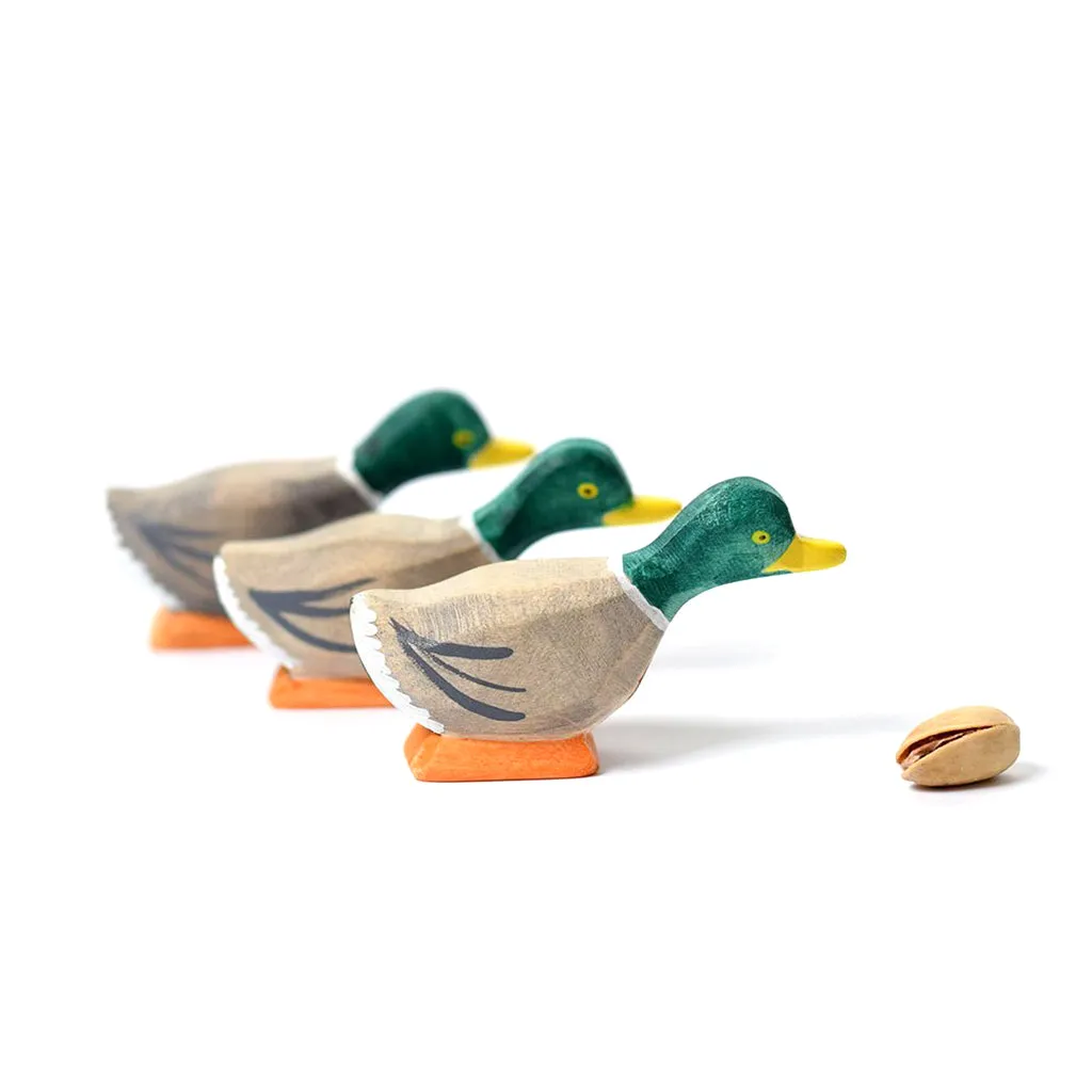 Wooden Mallard Duck - Curious